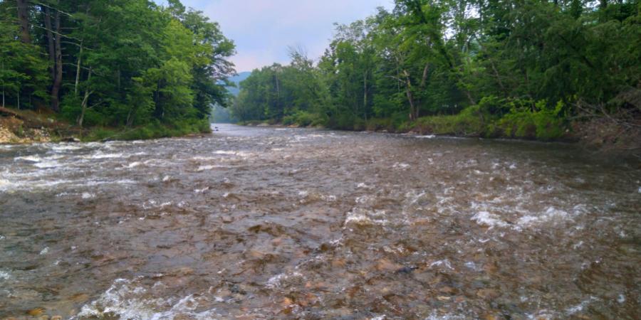 A river flowing through a forested corridor