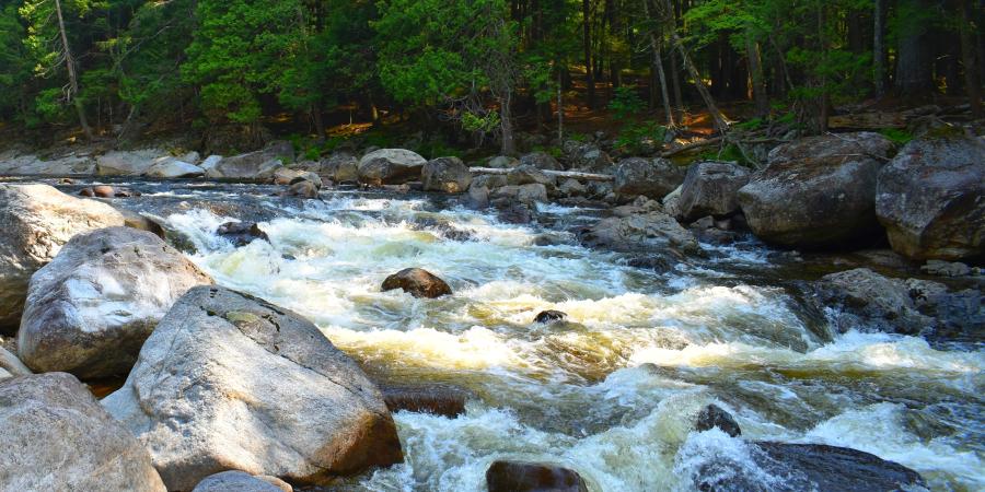 A swift river moving through boulders