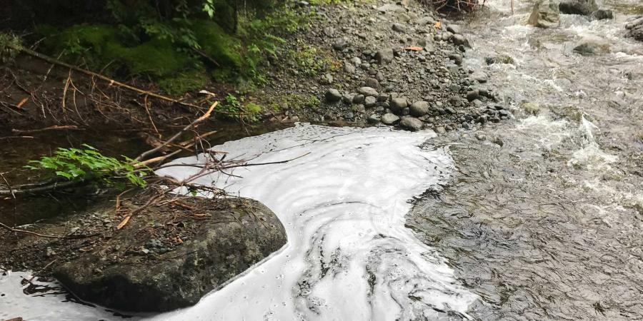 white foam forming on a river bank