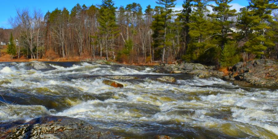 Water fall at high flow with trees in the background