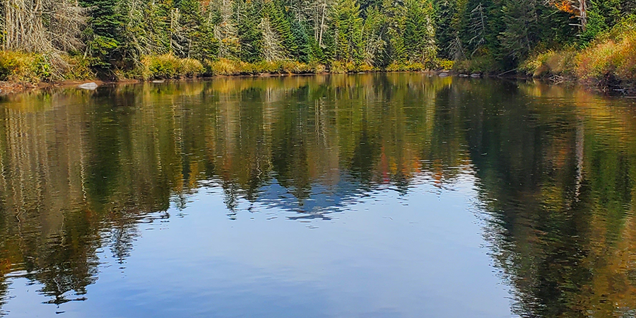The West Branch Sediment Study – A First Step Toward Restoring the Health of our Region's Natural Infrastructure