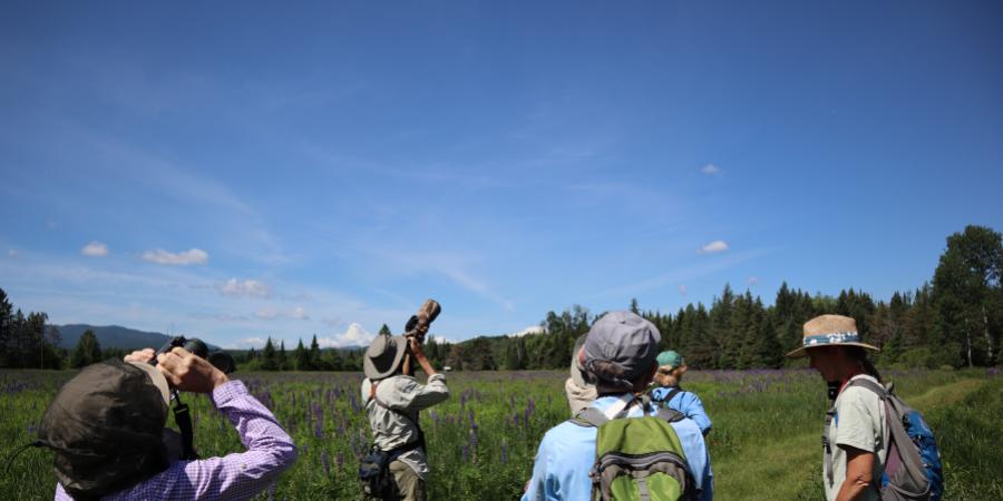 People looking up at the sky looking for birds