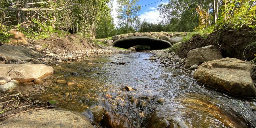 Otis Brook Ausable River