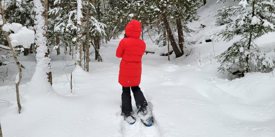 Person in red jacket snowing in a snowy evergreen forest