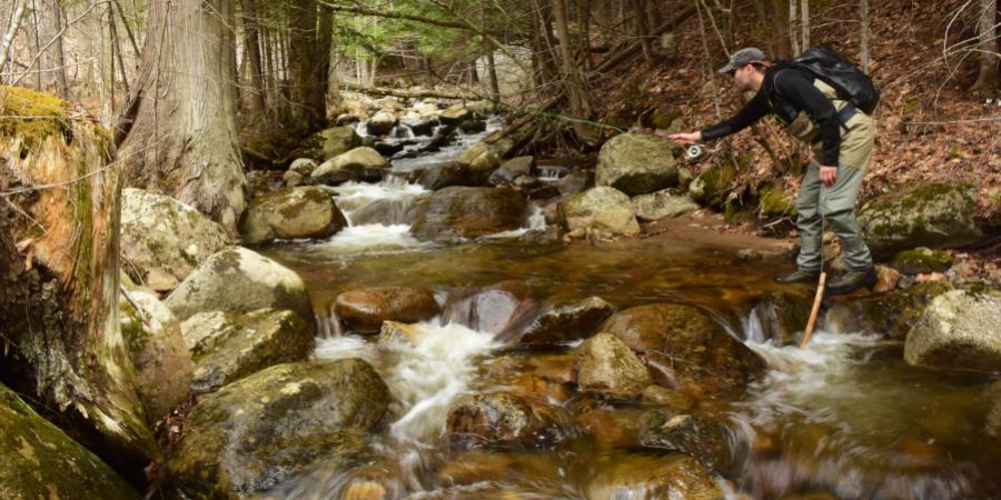 person fly fishing in small stream