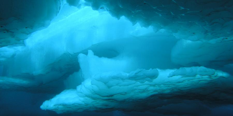 A Look Under The Ice