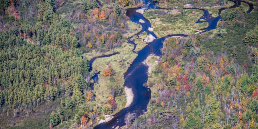 West Branch Ausable River