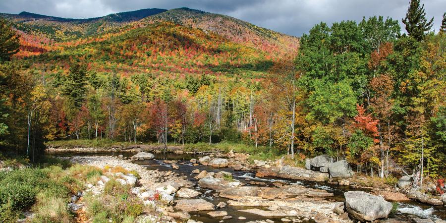 Caring for the Ausable River