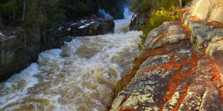 waterfall cascading through a forest with rocky shoreline