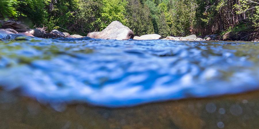 A Young Fisherman's Journey